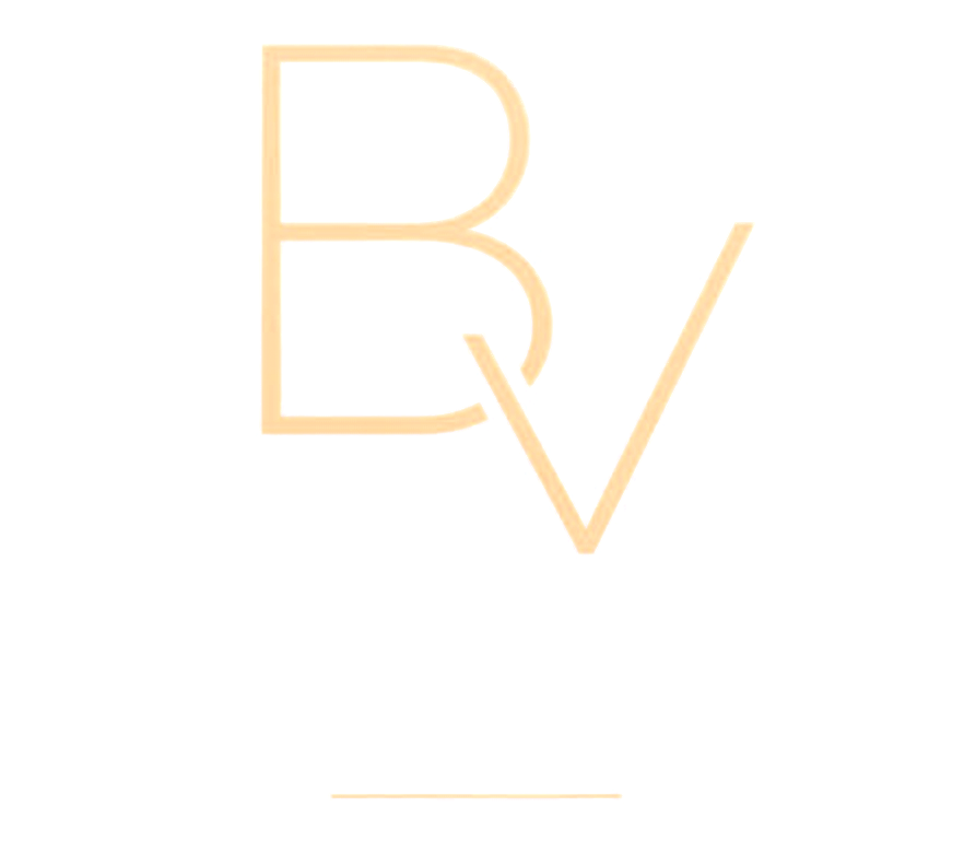 BuildVision